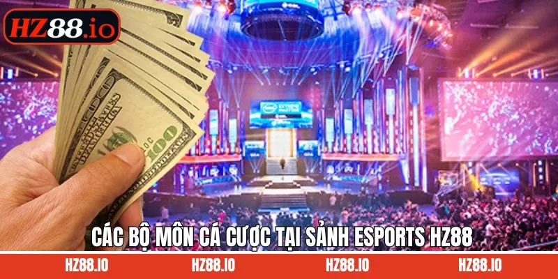 Những bộ môn cá cược thể thao thú vị nên thử trải nghiệm 