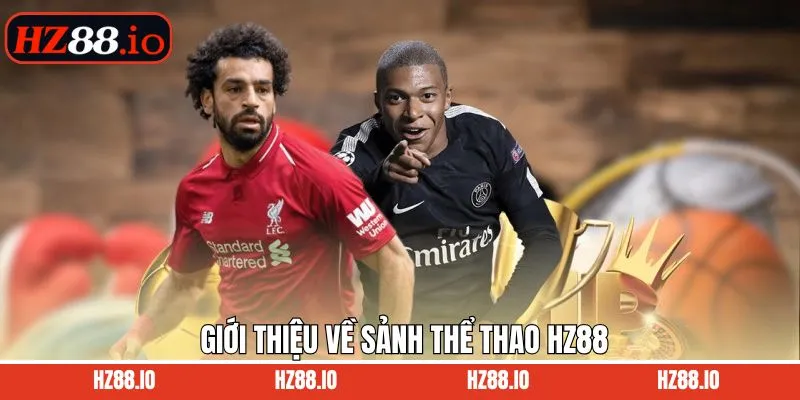 Đôi nét tìm hiểu chung về sảnh thể thao HZ88 