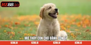Mơ Thấy Con Chó Đánh Con Gì - Khám Phá Các Bí Ẩn Từ Giấc Mộng