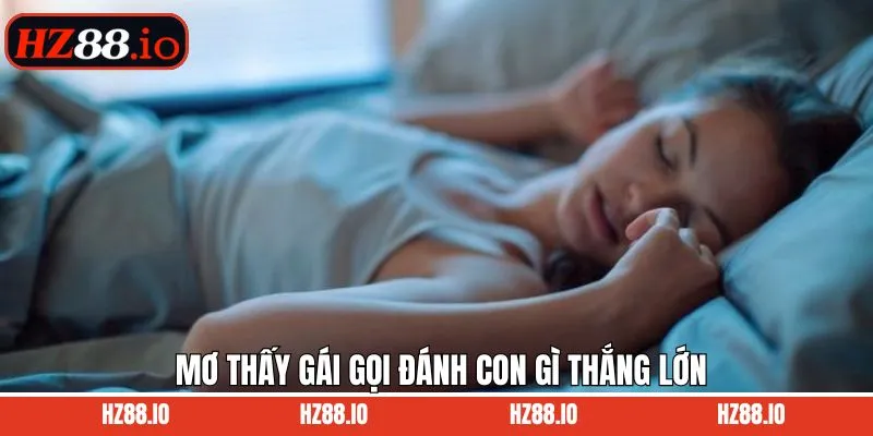 Mơ thấy gái gọi đánh con gì - Tìm ra con số may mắn tại HZ88