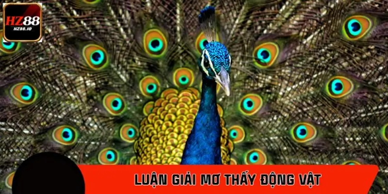 Khi thấy chim công