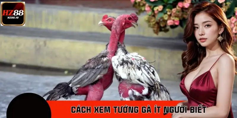 Cách Xem Tướng Gà Ít Người Biết Được Cao Thủ HZ88 Truyền Tai