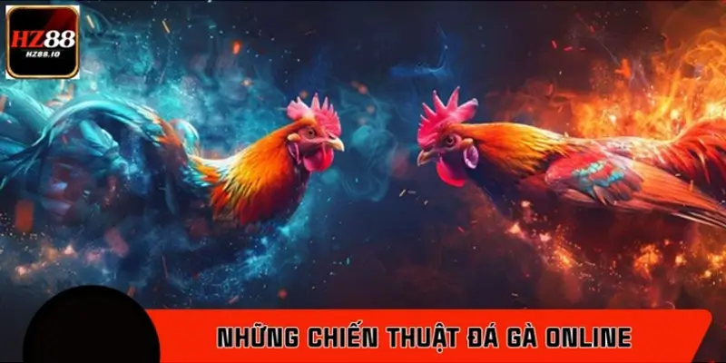 Những chiến thuật đá gà Online hiệu quả được sư kê tin dùng