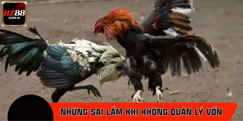 Những sai lầm thường gặp khi không quản lý vốn tốt